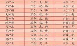 12生肖相生/相合/相克速查表