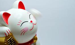 未来一个月有【偏财运】降临吗？