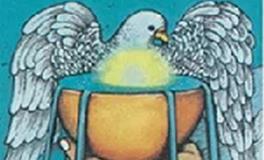 爱莎公主白羊座一周运势(7.31-8.6)