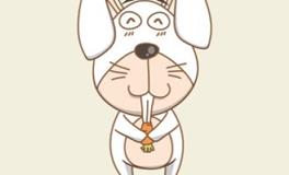 生肖兔事业上能靠什么逆袭成功