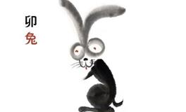 属兔和什么属相不合