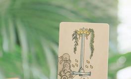 蓝蓝占星射手座一周感情运势（8.12-8.18)