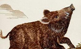 属猪人犯太岁的年份