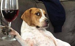 12星座中隐藏的四位大佬