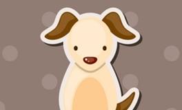 属狗人2024龙年犯太岁如何化解？