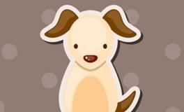 1982年的属狗人2024年全年运势及每月运势详解