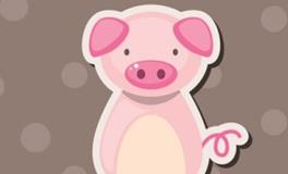 2007年的属猪人2024年全年运势及每月运势详解