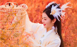 Alex大叔狮子座一周运势（8.7-8.13）