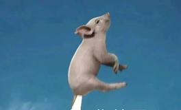 可恨又迷人，最爱内卷的几个星座