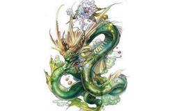 1988年属龙的五行属什么，是什么命？