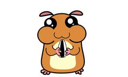 1996年属鼠的五行属什么，是什么命？