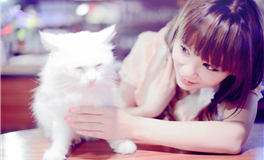 竹猫星球白羊座一周塔罗运势（9.18-9.24）