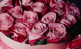 擅长用浪漫征服另一半的生肖