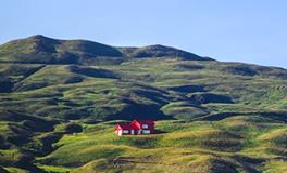 B型血逆风翻盘的秘密武器，你了解多少？