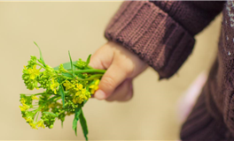 Ezoey徐佩玲狮子座一周运势(9.25-10.1)