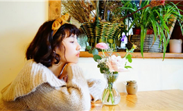 董易林生肖龙2024甲辰龙年总运程