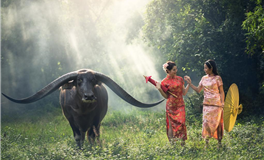 测试你命中财运最旺的时期