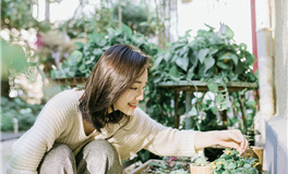 好运一触即发，幸运回归的星座