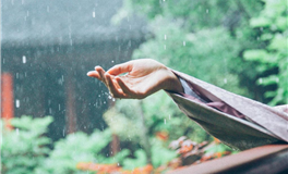 生肖牛2024年运势怎么样