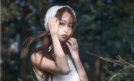 董易林生肖狗2024甲辰年三月运程