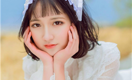 董易林生肖猪2024甲辰年十月运程