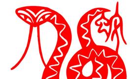 2001年属蛇的男生在2024全年的运势/运程详解