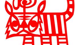 1986年属虎的女人2024全年的运势/运程详解