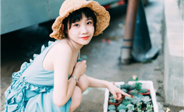 2024年运势12生肖运势详解