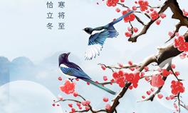 二十四节气之立冬，立冬三候是什么