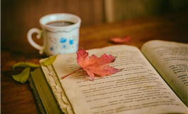 神叨酱摩羯座2023年11月塔罗运势