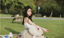 宋韶光属猪人2024甲辰年十二月运程（2025.1.5-2.2）