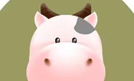 蓝蓝占星金牛座一周感情运势（11.25-12.1)