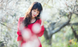 杀破狼一周星座运势（11.13-11.19）