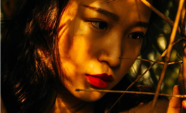 2024甲辰龙年属兔人运势详解