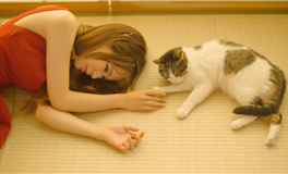 李云天生肖兔一周运势（11.5-11.11）