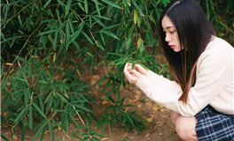 Hint占星巨蟹座一周运势(11.6-11.12）