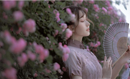 赤百合魔羯座一周运势（12.11-12.17）