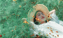 2024年属猪的幸运色和禁忌色，属猪人龙年最旺的颜色