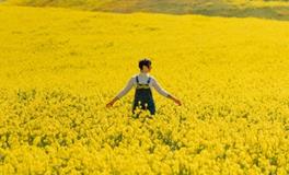 独家分析为何这些生肖更容易吃亏上当？