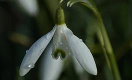 2024年属牛破太岁用什么东西，属牛人化解太岁的方法