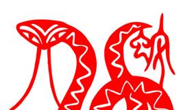 属蛇人2024年财富运势，属蛇人2024年整体运势如何