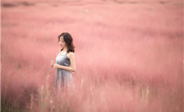 判答双鱼座2024年1月运势