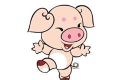 属猪的哪天出生最好命