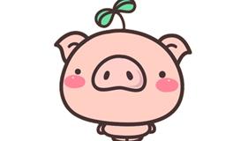 1983年属什么生肖，1983年属猪人的运势