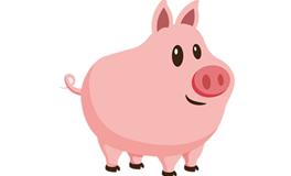 2019年属什么生肖