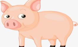 属猪人最凶的年份