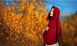 罗伯2024年心灵指引之三