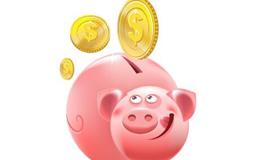 1995年属猪人多少岁结婚最好