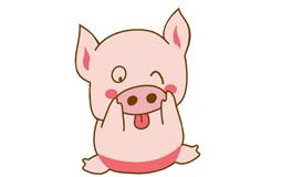 1995年属猪的三大坎是什么