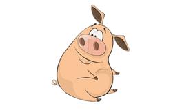 2019年的猪宝宝五行缺什么